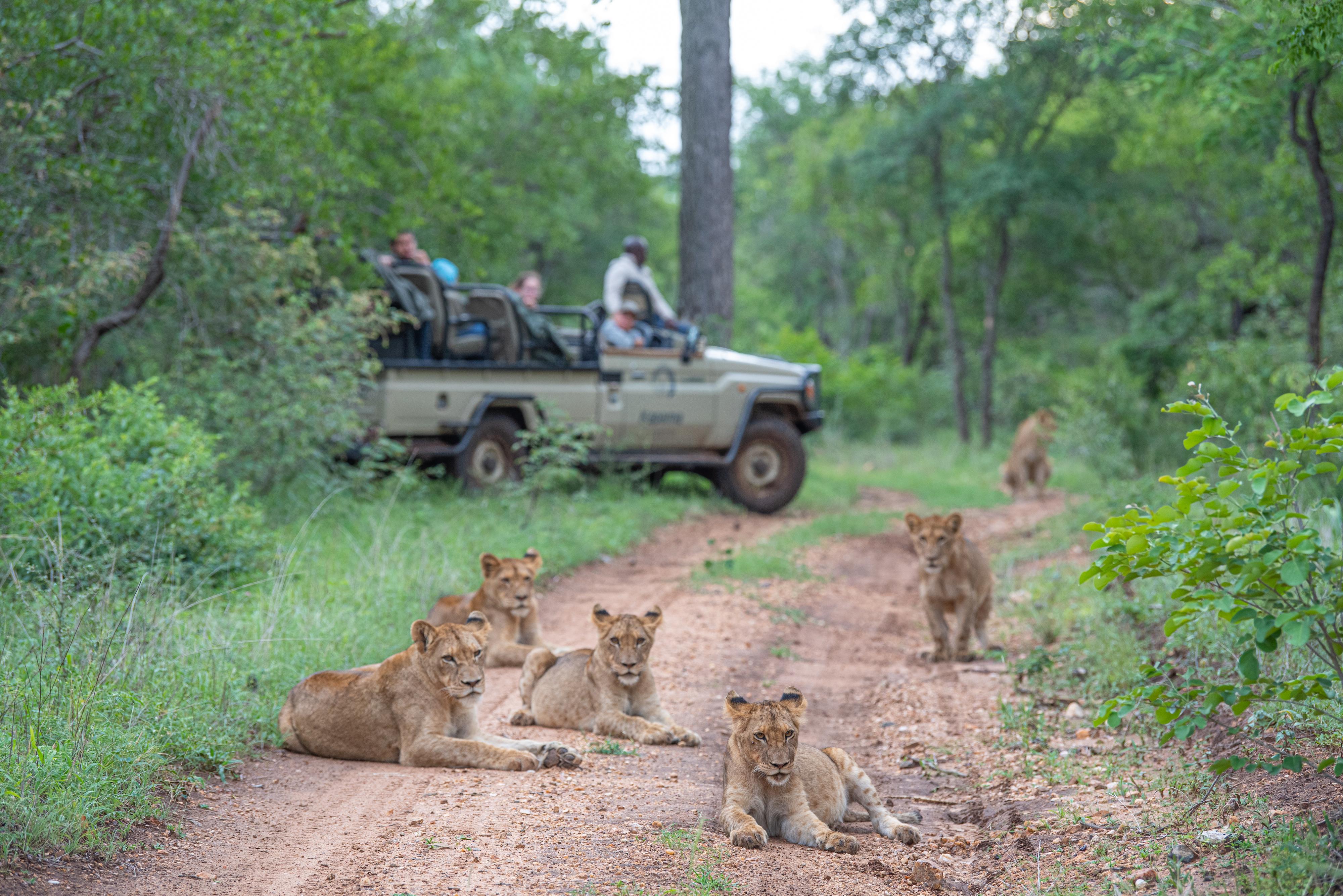 Kapama Southern Camp Hoedspruit Eksteriør billede